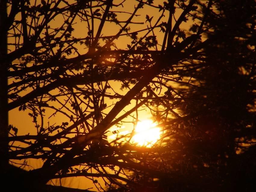 tramonto in città frasi sull'amore e il tramonto dal tramonto all alba frasi immagini tramonto