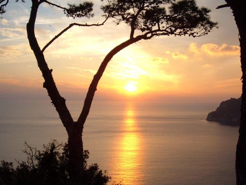 Tramonto a Capri foto di tramonto sul mare tramonti capresi immagini pino